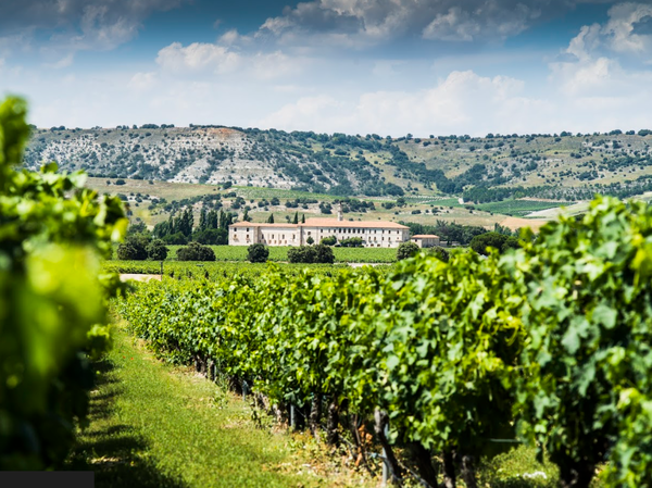 canaldis-abadiaretuerta-certificacion-bcorp