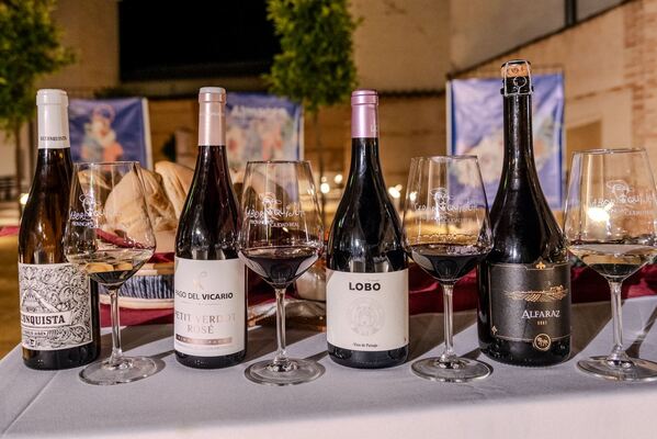 canaldis-wineup-festival-almagro-vinos-cata
