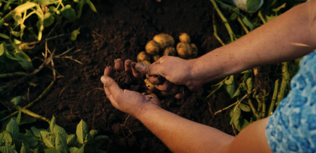 canaldis-fertiberia-pepsico-acuerdo-descarbonizacion-fertilizantes