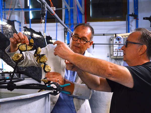 canaldis-irta-acuicultura-sostenible-visita-demostrativa