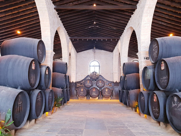 canaldis-gonzalezbyass-bodegastiopepe-worldbestvineyards