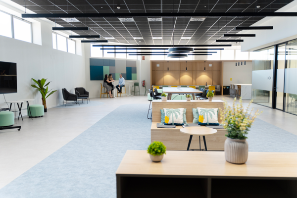 canaldis-cosmewax-nueva-fabrica-oficinas