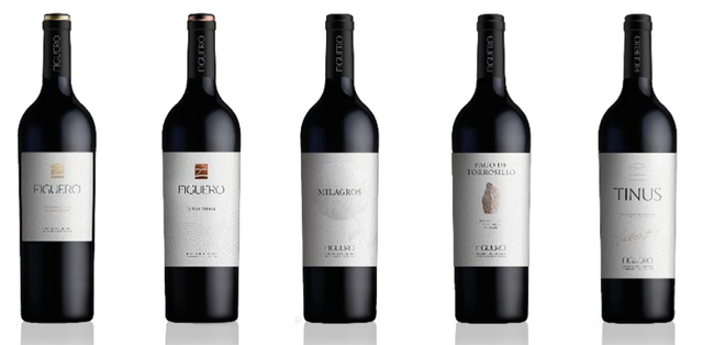 canaldis-figuero-salon-guia-peñin