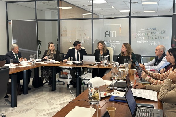 canaldis-mercalicante-consejo-administracion-plan-inversiones