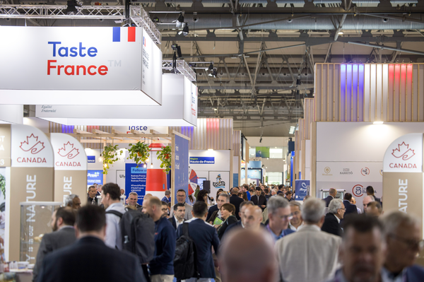 canaldis-seafoodexpoglobal-fin-edicion-2025