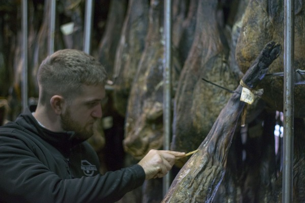 canaldis-saboriberico-dehesadesolana-curacion