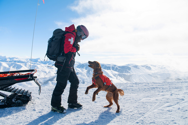 canaldis-nulo-iskaypet-novedad-espana