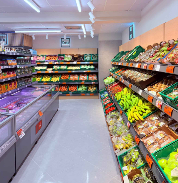 canaldis-dia-apertura-alicante