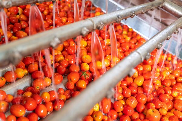 canaldis-sitra-normativa-agua-industria-alimentaria