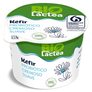 canaldis-dia-productos-saludables-kefir