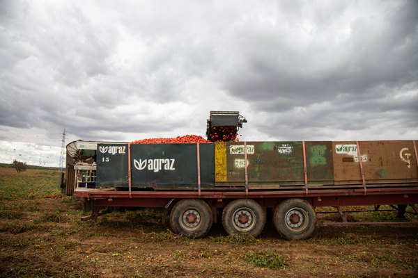 canaldis-unilever-dia-mundial-agua-agricultura