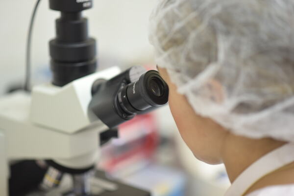 canaldis-fertiberia-lanzamiento-nsafe