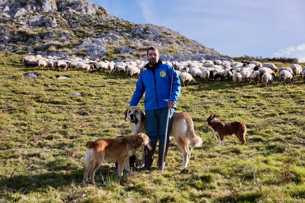 canaldis-alimerka-apoyo-ganaderia-montana-campana-lechazos-pro-diversidad