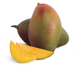 canaldis-aldi-mango