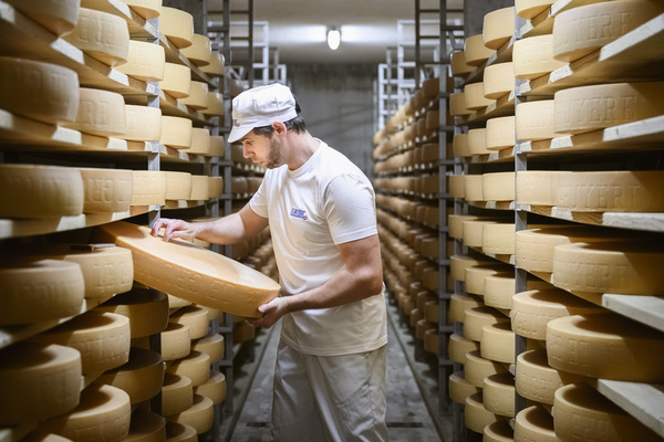 canaldis-quesosdesuiza-legruyere-mejor-queso-mundo