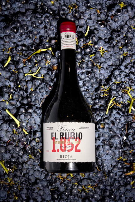canaldis-marquesdelatrio-premios-VID-2025-elrubio