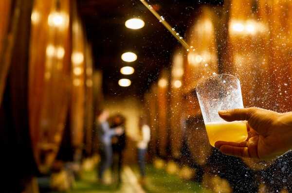 canaldis-sidreriapetritegi-txotx-2026