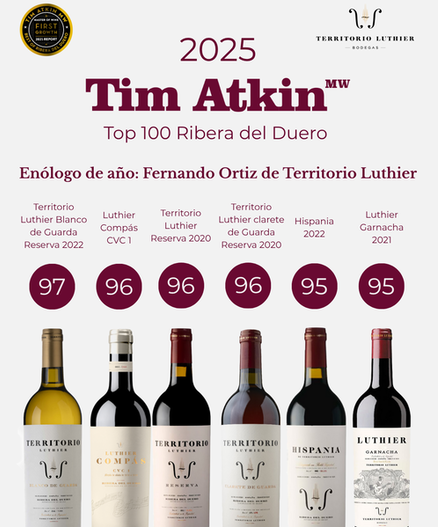 canaldis-territorio-luthier-tim-atkin