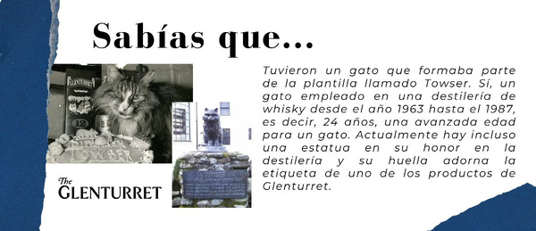 canaldis-hisumer-glenturret-gato