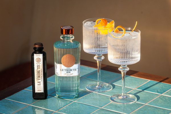 canaldis-letribute-gin