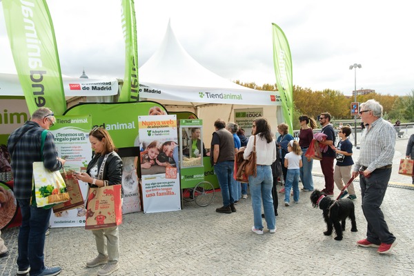 canaldis-tiendanimal-adopciones-2025
