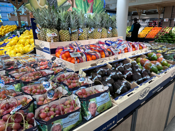 canaldis-sanlucar-greenfood-consumidores-suecos