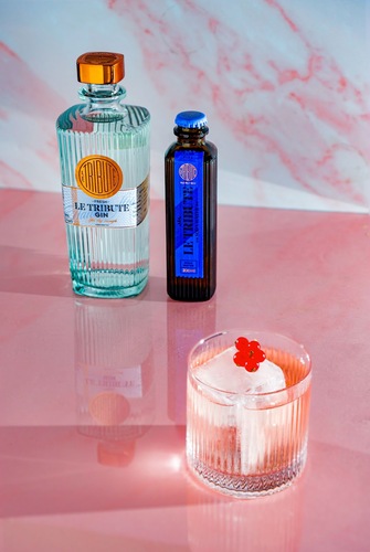 canaldis-letribute-fizzy