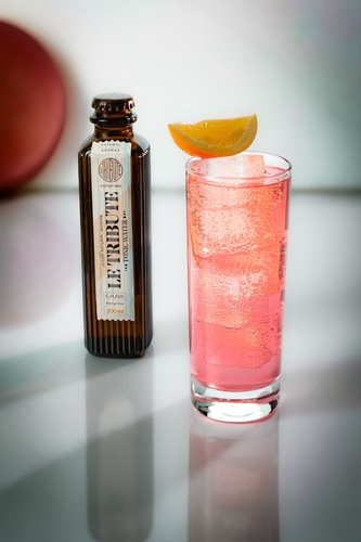 canaldis-letribute-tampico