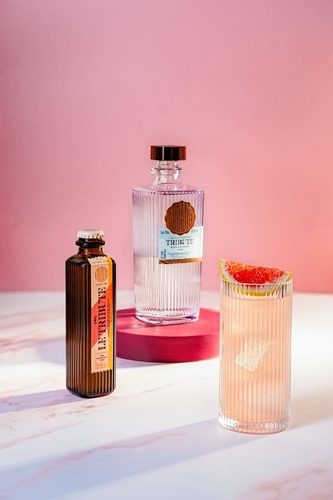 canaldis-letribute-paloma