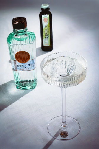 canaldis-letribute-dirty-martini