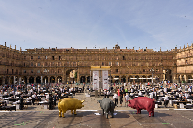 canaldis-gastroactidud-v-foro-internacional-iberico