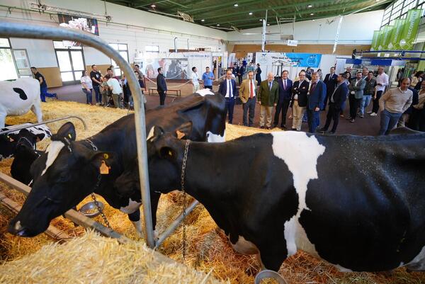 canaldis-confevap-2026-inauguracion-vacas