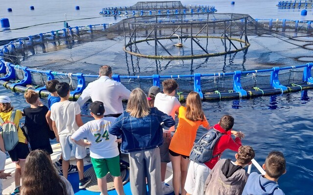 canaldis-apromar-avramar-sector-pesquero-acuicultura