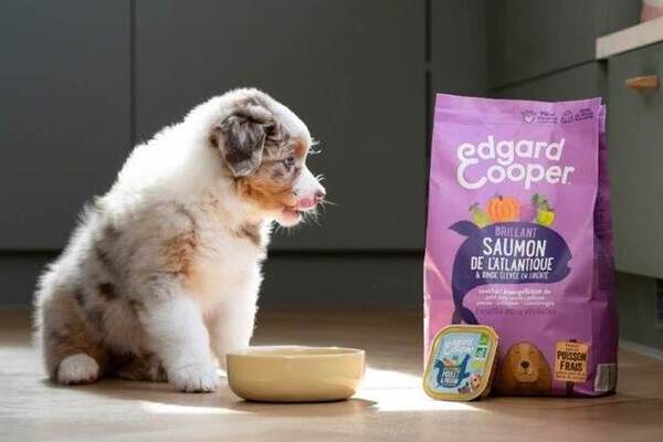 canaldis-edgarandcooper-lanzamiento-EEUU-generalmills