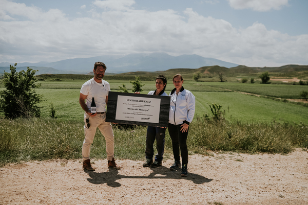 canaldis-vintae-proyecto-bardos-abejas-del-moncayo