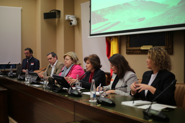 canaldis-mcdonalds-AFAMMER-congreso