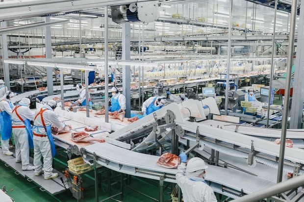 canaldis-incarlopsa-produccion