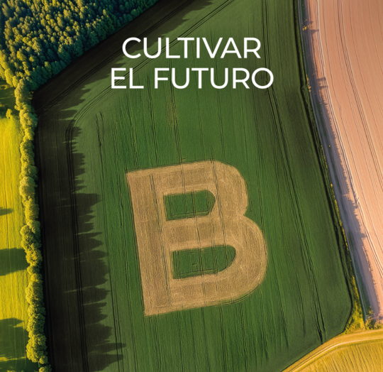 canaldis-grupobonduelle-certificacion-b-corp-planet