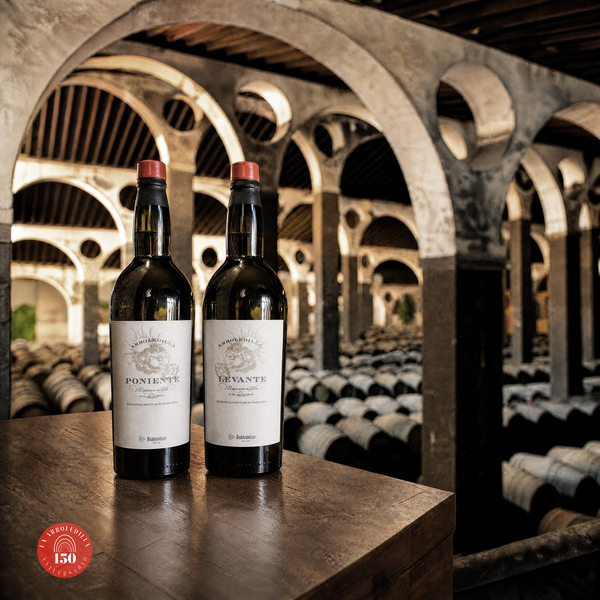 canaldis-barbadillo-semana-manzanilla-arboledilla-150-aniversario-levante-poniente
