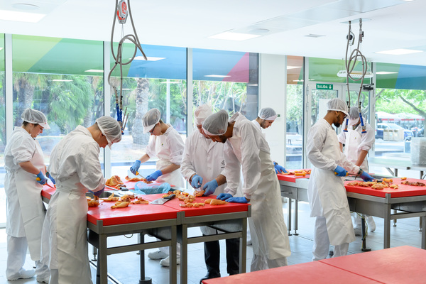 canaldis-mercabarna-cursos-carniceria