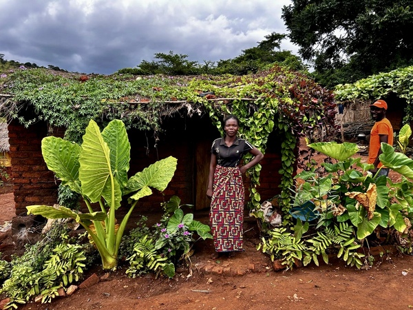 canaldis-martiderm-proyecto-mawa