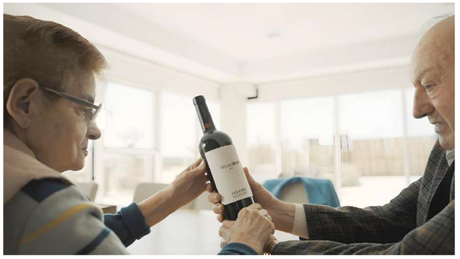 canaldis-figuero-inicio-historia-amor-milagros