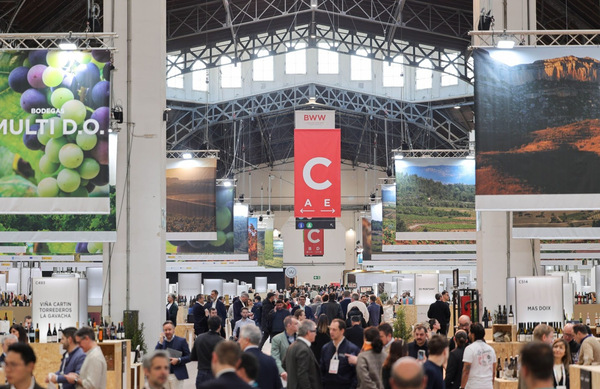 canaldis-bww-2026-cierre