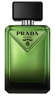 canaldis-loreal-paradigme