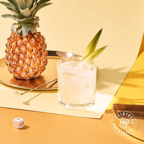 canaldis-cointreau-AGB-pineapple-kombucha-margarita