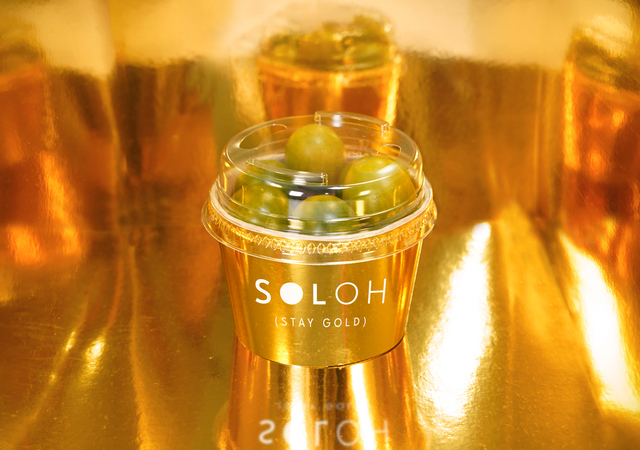 canaldis-unicagroup-novedad-cherry-soloh-fruit-logistica-2026