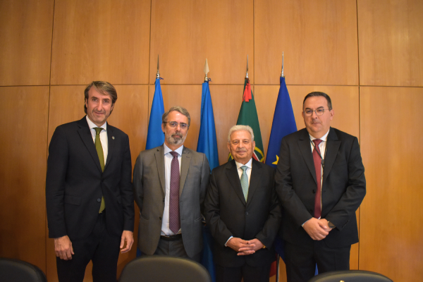 canaldis-coi-lisboa-123-consejo-miembros