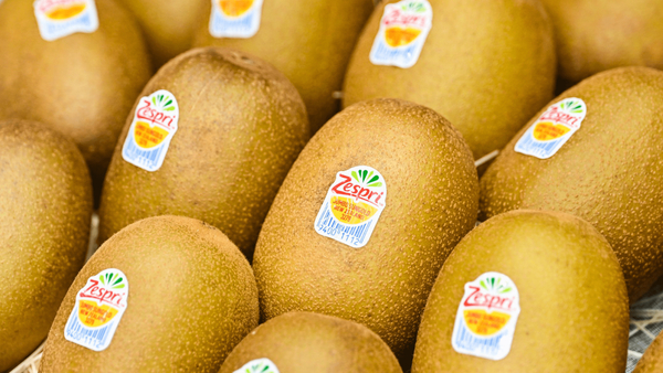 canaldis-sinclair-zespri-estiquetacompostable-sostenibilidad
