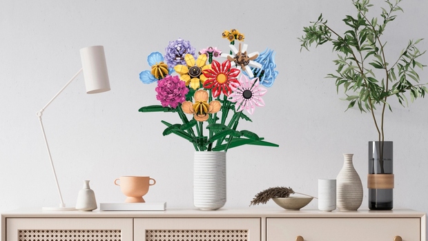 canaldis-aldi-flores-construccion