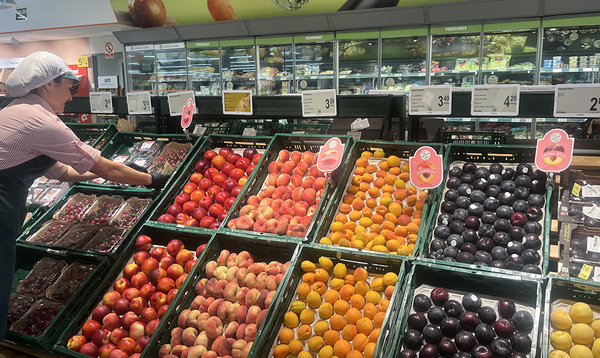 canaldis-consum-campaña-fruta-hueso